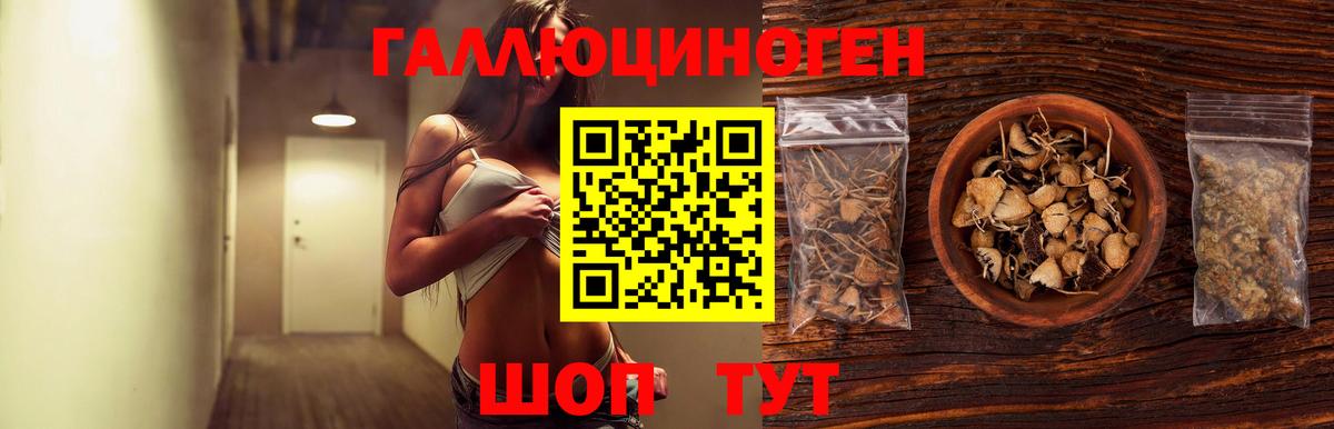 Псилоцибиновые грибы Psilocybe Новочебоксарск